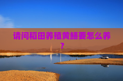请问稻田养殖黄鳝要怎么养？