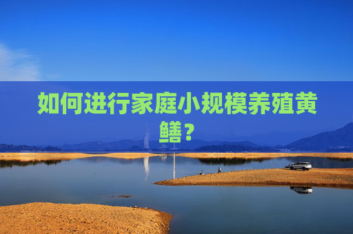 如何进行家庭小规模养殖黄鳝？
