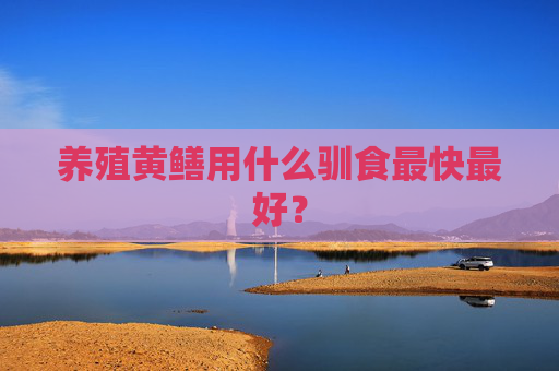 养殖黄鳝用什么驯食最快最好？
