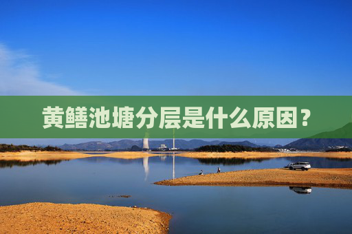 黄鳝池塘分层是什么原因？