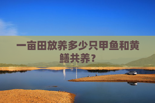 一亩田放养多少只甲鱼和黄鳝共养？