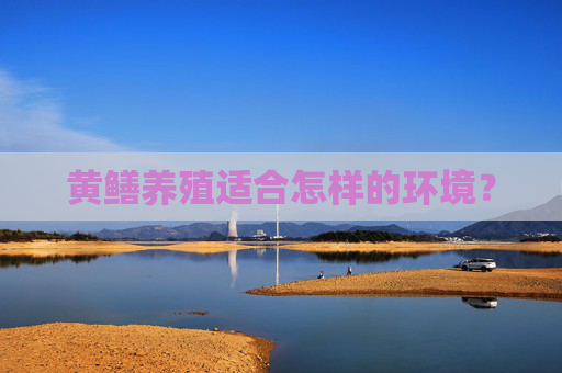 黄鳝养殖适合怎样的环境？