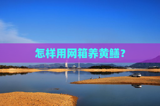怎样用网箱养黄鳝？