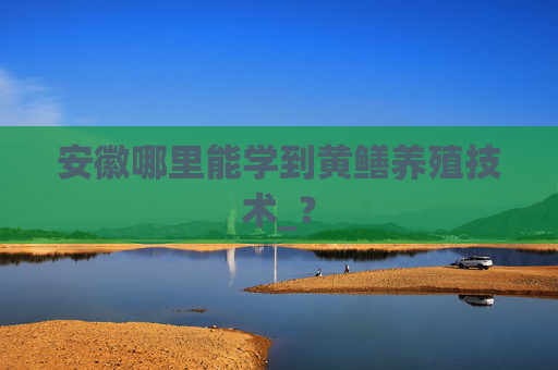 安徽哪里能学到黄鳝养殖技术_？