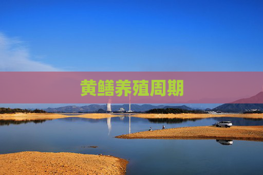 黄鳝养殖周期