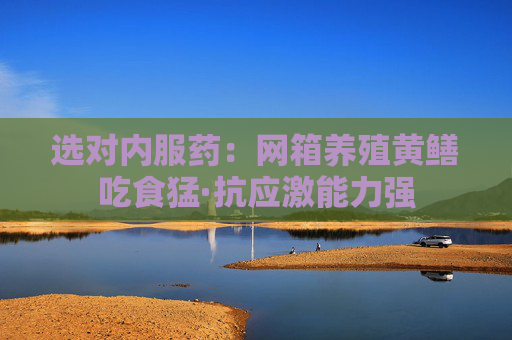 选对内服药:网箱养殖黄鳝吃食猛·抗应激能力强