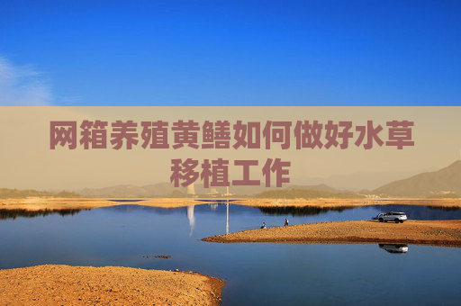 网箱养殖黄鳝如何做好水草移植工作