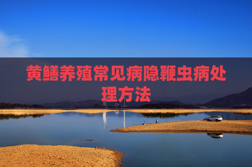 黄鳝养殖常见病隐鞭虫病处理方法