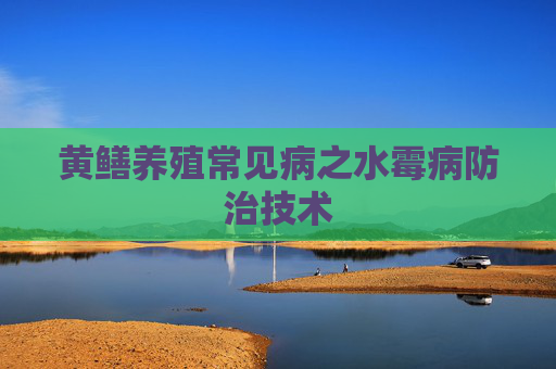 黄鳝养殖常见病之水霉病防治技术