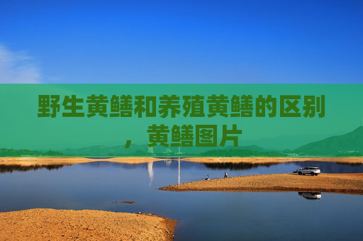 野生黄鳝和养殖黄鳝的区别，黄鳝图片
