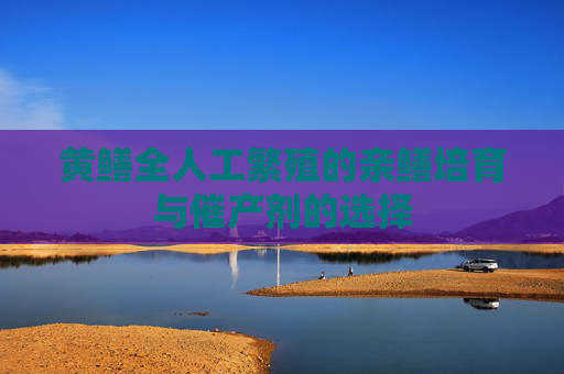 黄鳝全人工繁殖的亲鳝培育与催产剂的选择
