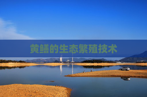 黄鳝的生态繁殖技术