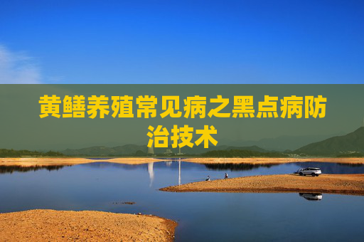 黄鳝养殖常见病之黑点病防治技术