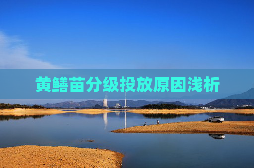 黄鳝苗分级投放原因浅析