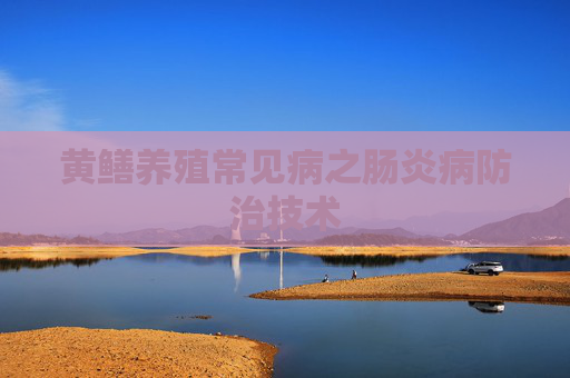 黄鳝养殖常见病之肠炎病防治技术