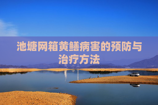 池塘网箱黄鳝病害的预防与治疗方法