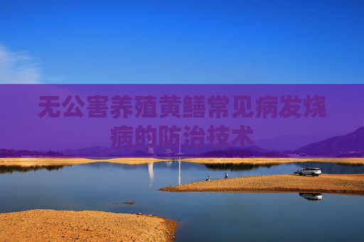 无公害养殖黄鳝常见病发烧病的防治技术