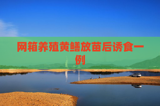网箱养殖黄鳝放苗后诱食一例