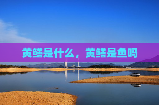 黄鳝是什么，黄鳝是鱼吗