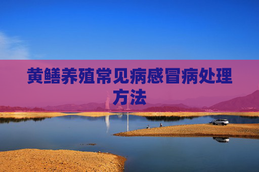 黄鳝养殖常见病感冒病处理方法