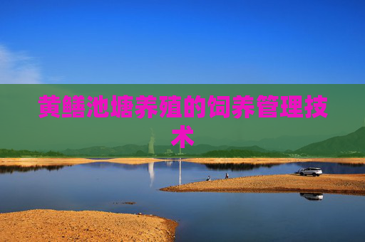 黄鳝池塘养殖的饲养管理技术