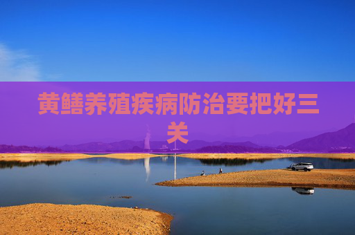 黄鳝养殖疾病防治要把好三关