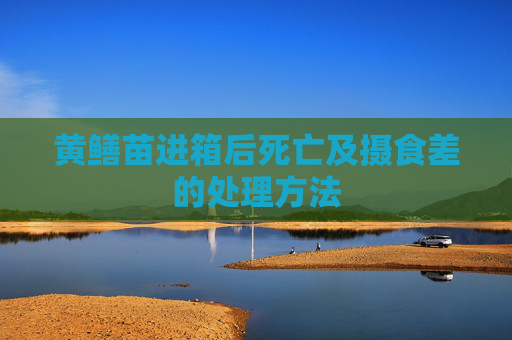 黄鳝苗进箱后死亡及摄食差的处理方法