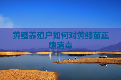 黄鳝养殖户如何对黄鳝苗正确消毒