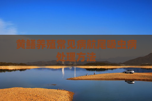 黄鳝养殖常见病航尾吸虫病处理方法