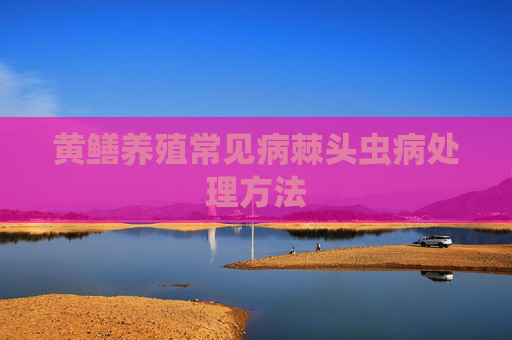 黄鳝养殖常见病棘头虫病处理方法