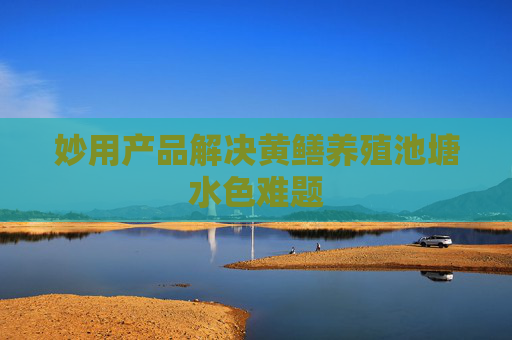 妙用产品解决黄鳝养殖池塘水色难题