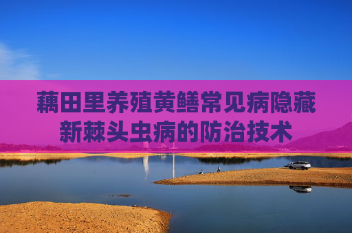 藕田里养殖黄鳝常见病隐藏新棘头虫病的防治技术