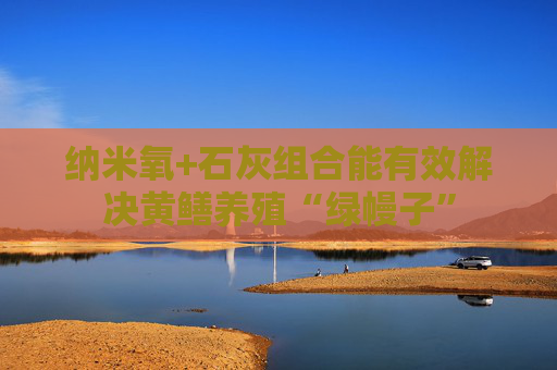 纳米氧+石灰组合能有效解决黄鳝养殖“绿幔子”