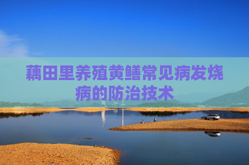 藕田里养殖黄鳝常见病发烧病的防治技术