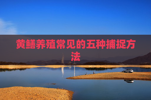 黄鳝养殖常见的五种捕捉方法