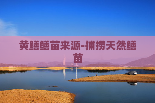黄鳝鳝苗来源-捕捞天然鳝苗