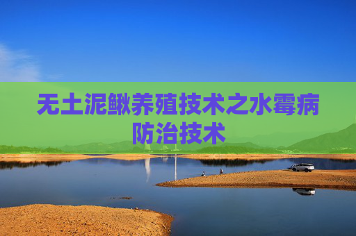 无土泥鳅养殖技术之水霉病防治技术
