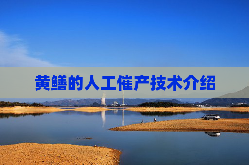 黄鳝的人工催产技术介绍
