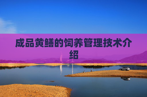 成品黄鳝的饲养管理技术介绍