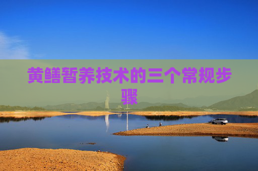 黄鳝暂养技术的三个常规步骤