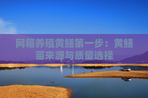 网箱养殖黄鳝第一步：黄鳝苗来源与质量选择
