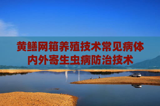 黄鳝网箱养殖技术常见病体内外寄生虫病防治技术
