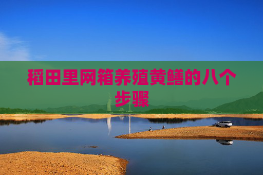 稻田里网箱养殖黄鳝的八个步骤