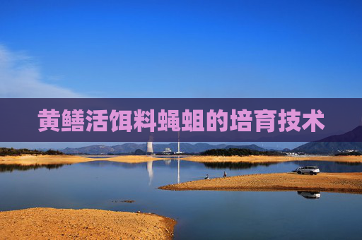 黄鳝活饵料蝇蛆的培育技术