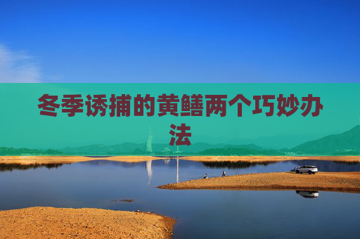 冬季诱捕的黄鳝两个巧妙办法