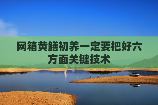 网箱黄鳝初养一定要把好六方面关键技术