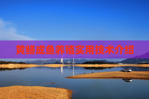 黄鳝成鱼养殖实用技术介绍