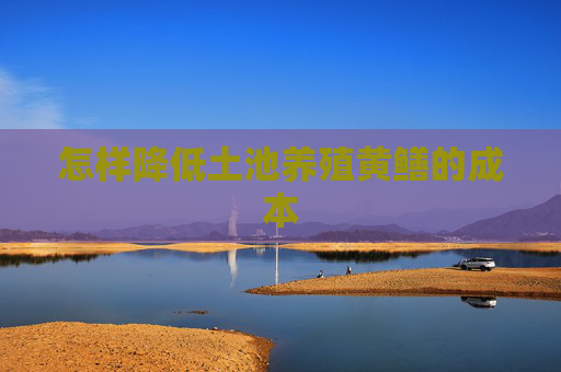 怎样降低土池养殖黄鳝的成本