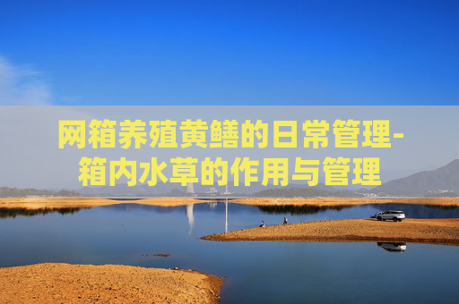 网箱养殖黄鳝的日常管理-箱内水草的作用与管理