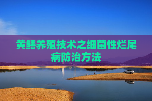 黄鳝养殖技术之细菌性烂尾病防治方法